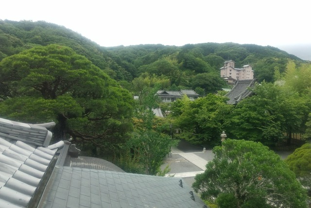 DSC_1107~2.JPG